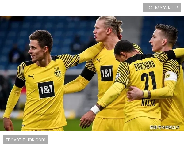 从霍芬海姆梯队到汉堡主力：奥纳纳的职业起步